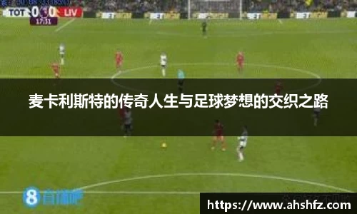 乐鱼体育平台