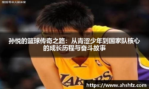 乐鱼体育APP