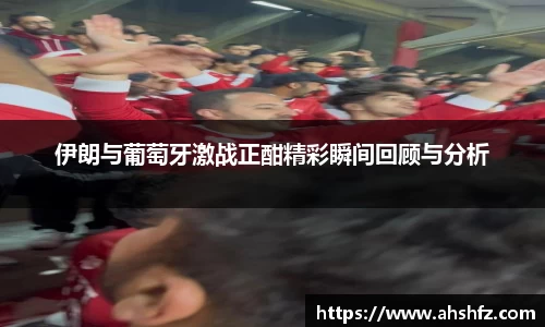 乐鱼体育官网